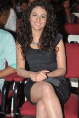 Run Raja Run Audio Launch